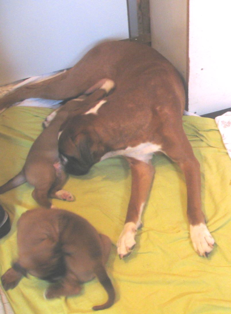 ... Shift+R improves the quality of this image. CTRL+F5 reloads the whole page. undefined