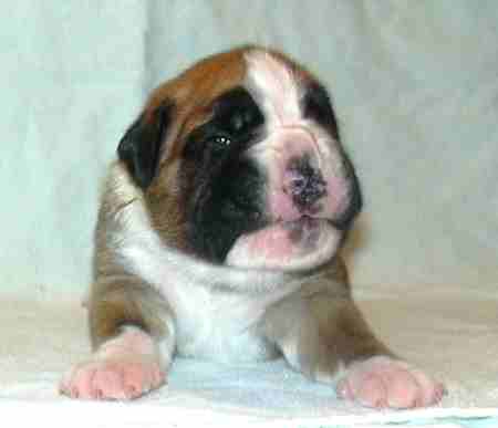 ... Shift+R improves the quality of this image. CTRL+F5 reloads the whole page. undefined