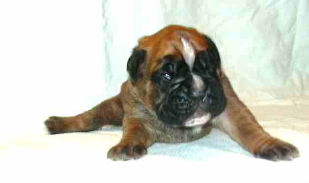 ... Shift+R improves the quality of this image. CTRL+F5 reloads the whole page. undefined