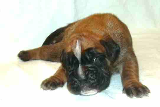 ... Shift+R improves the quality of this image. CTRL+F5 reloads the whole page. undefined