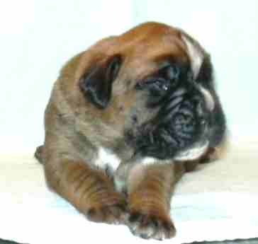 ... Shift+R improves the quality of this image. CTRL+F5 reloads the whole page. undefined