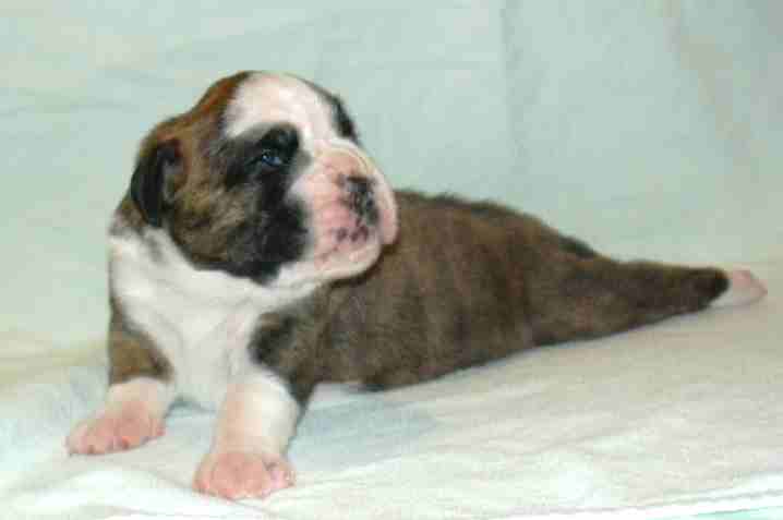 ... Shift+R improves the quality of this image. CTRL+F5 reloads the whole page. undefined