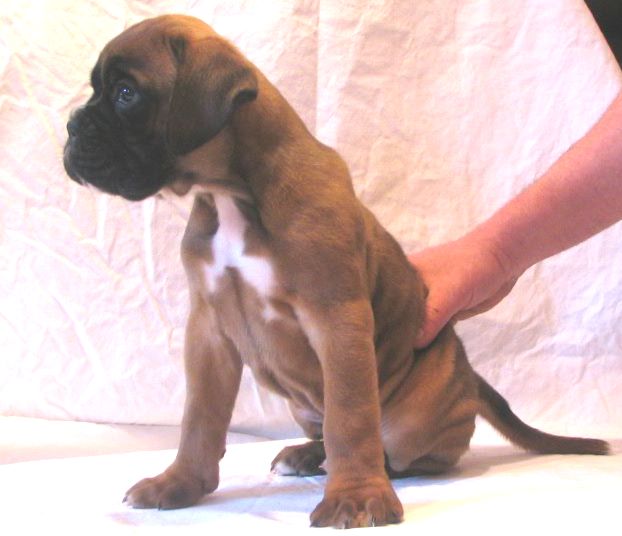 ... Shift+R improves the quality of this image. CTRL+F5 reloads the whole page. undefined