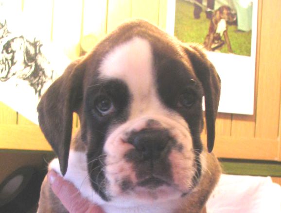 ... Shift+R improves the quality of this image. CTRL+F5 reloads the whole page. undefined