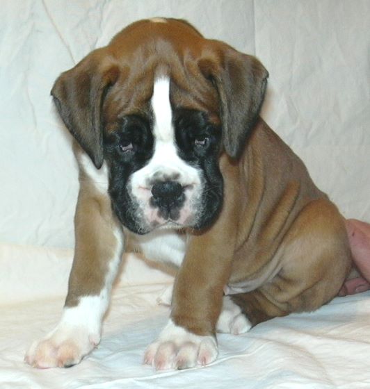 ... Shift+R improves the quality of this image. CTRL+F5 reloads the whole page. undefined