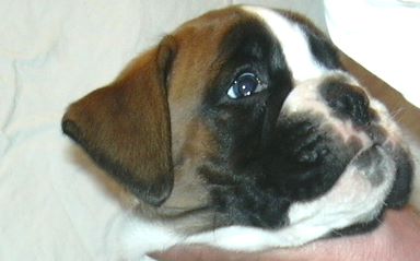 ... Shift+R improves the quality of this image. CTRL+F5 reloads the whole page. undefined