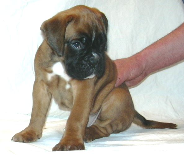 ... Shift+R improves the quality of this image. CTRL+F5 reloads the whole page. undefined