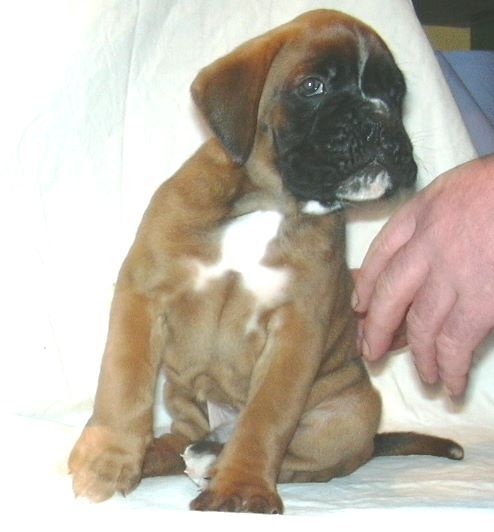 ... Shift+R improves the quality of this image. CTRL+F5 reloads the whole page.