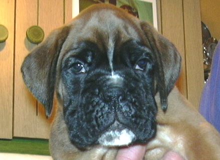 ... Shift+R improves the quality of this image. CTRL+F5 reloads the whole page. undefined