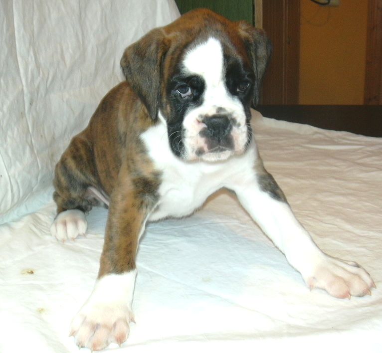 ... Shift+R improves the quality of this image. CTRL+F5 reloads the whole page. undefined