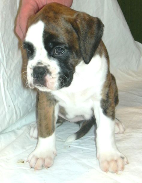 ... Shift+R improves the quality of this image. CTRL+F5 reloads the whole page. undefined