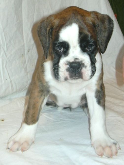 ... Shift+R improves the quality of this image. CTRL+F5 reloads the whole page. undefined