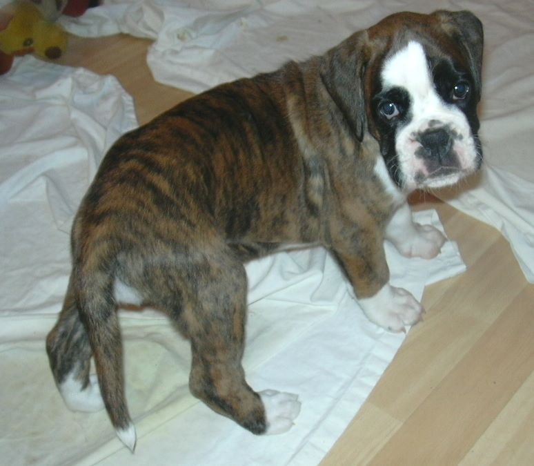 ... Shift+R improves the quality of this image. CTRL+F5 reloads the whole page.