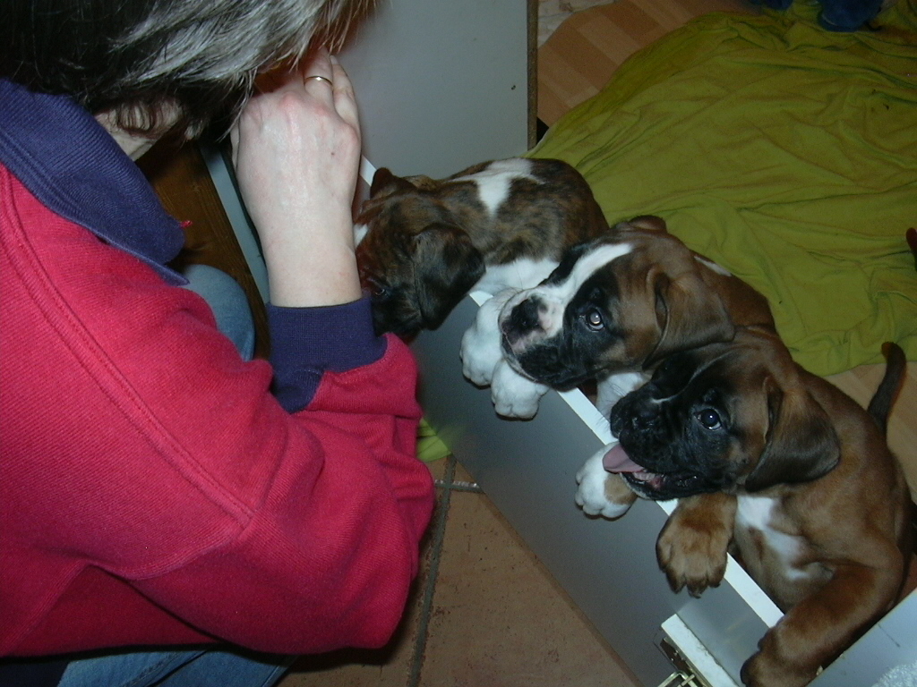 ... Shift+R improves the quality of this image. CTRL+F5 reloads the whole page. undefined