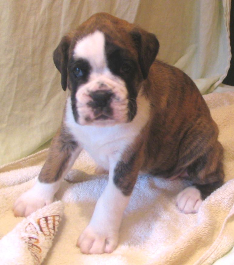 ... Shift+R improves the quality of this image. CTRL+F5 reloads the whole page.