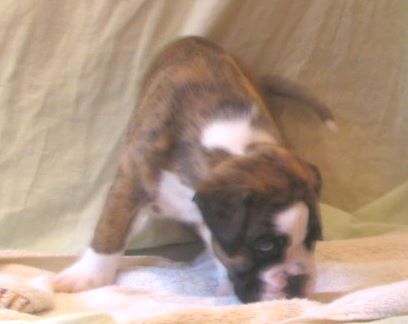 ... Shift+R improves the quality of this image. CTRL+F5 reloads the whole page. undefined