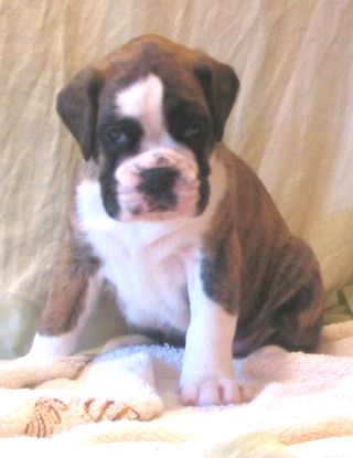 ... Shift+R improves the quality of this image. CTRL+F5 reloads the whole page. undefined