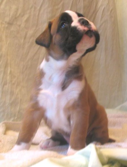 ... Shift+R improves the quality of this image. CTRL+F5 reloads the whole page.