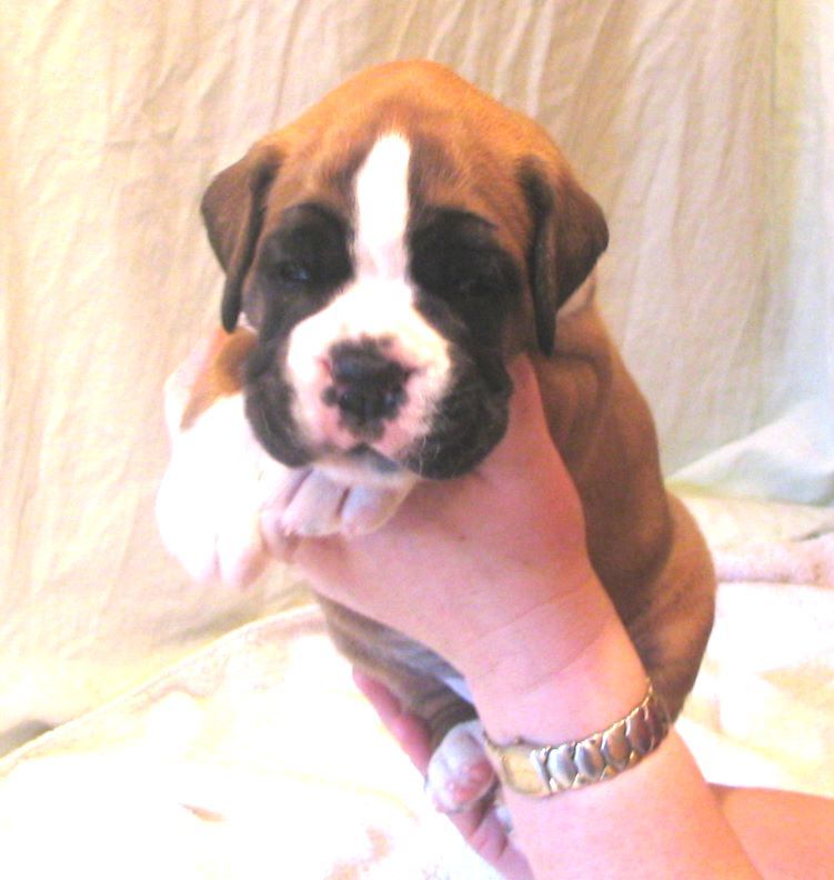 ... Shift+R improves the quality of this image. CTRL+F5 reloads the whole page. undefined