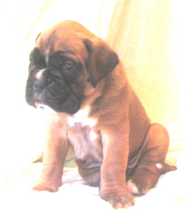 ... Shift+R improves the quality of this image. CTRL+F5 reloads the whole page. undefined