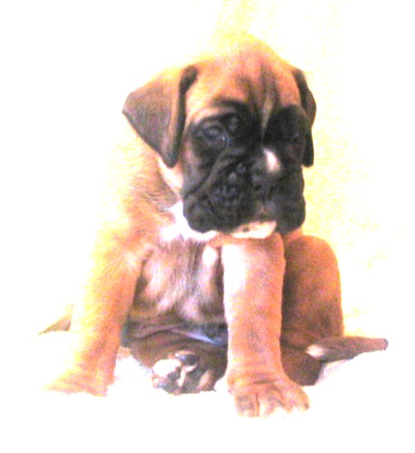 ... Shift+R improves the quality of this image. CTRL+F5 reloads the whole page. undefined