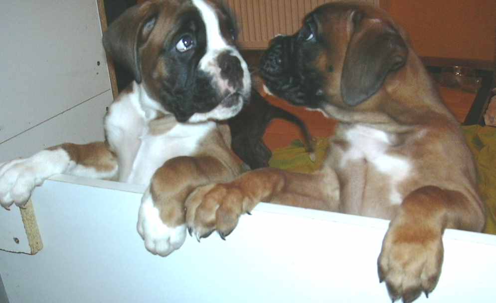 ... Shift+R improves the quality of this image. CTRL+F5 reloads the whole page. undefined