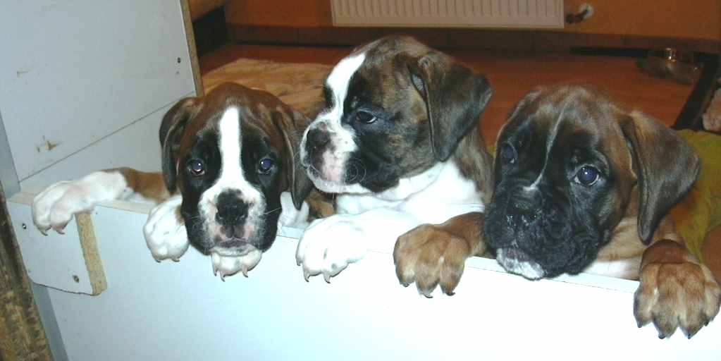 ... Shift+R improves the quality of this image. CTRL+F5 reloads the whole page. undefined