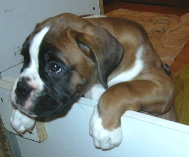 ... Shift+R improves the quality of this image. CTRL+F5 reloads the whole page. undefined