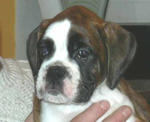 ... Shift+R improves the quality of this image. CTRL+F5 reloads the whole page. undefined