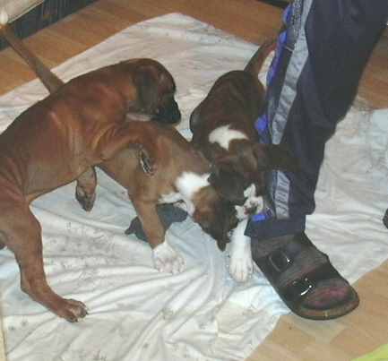 ... Shift+R improves the quality of this image. CTRL+F5 reloads the whole page. undefined