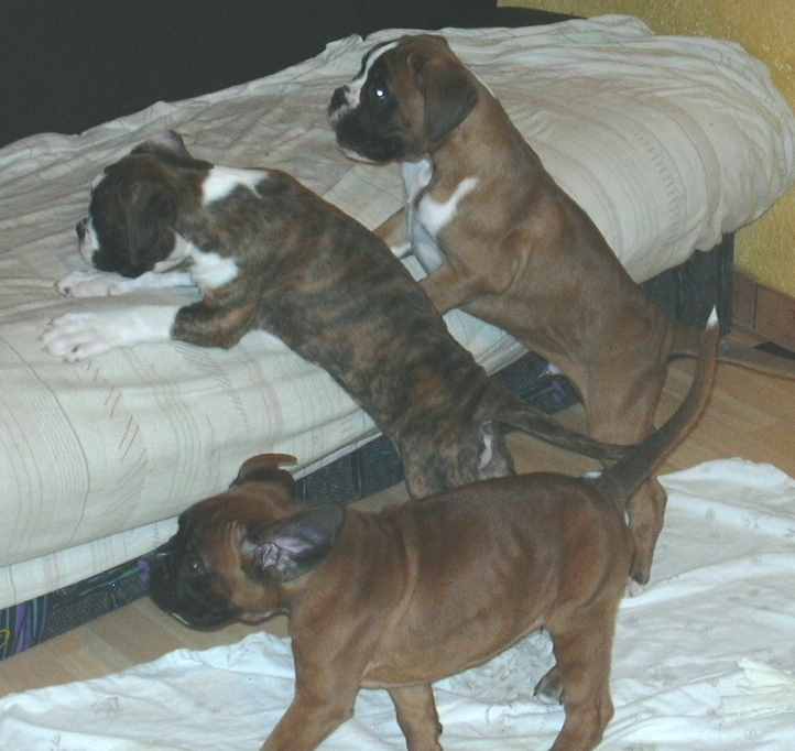 ... Shift+R improves the quality of this image. CTRL+F5 reloads the whole page. undefined