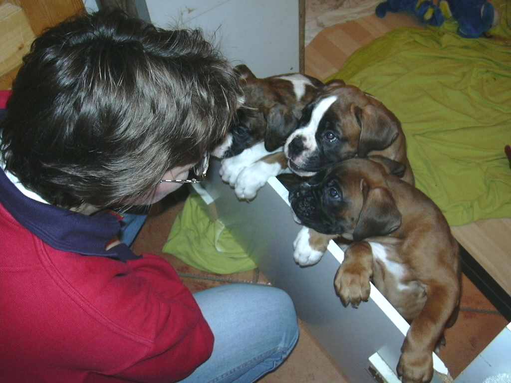 ... Shift+R improves the quality of this image. CTRL+F5 reloads the whole page. undefined