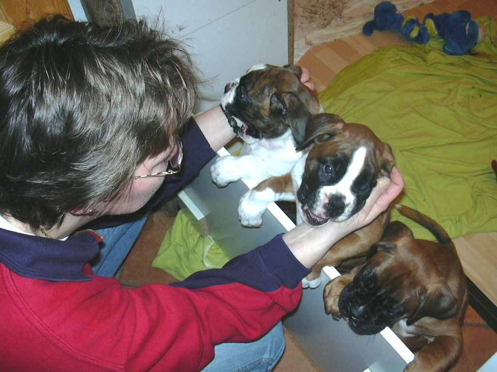 ... Shift+R improves the quality of this image. CTRL+F5 reloads the whole page. undefined