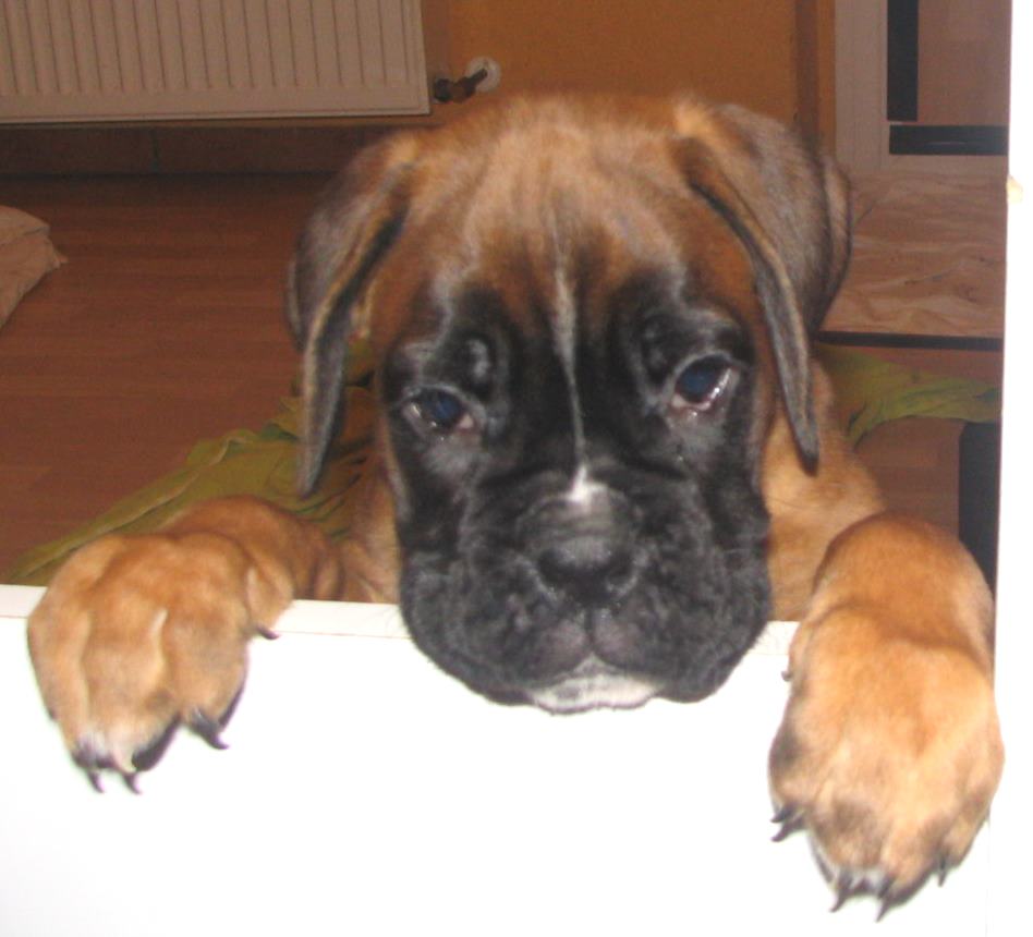 ... Shift+R improves the quality of this image. CTRL+F5 reloads the whole page. undefined