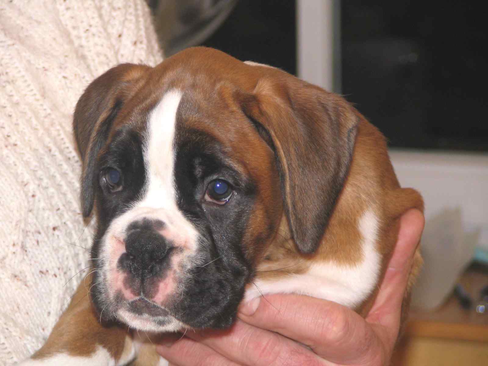 ... Shift+R improves the quality of this image. CTRL+F5 reloads the whole page. undefined