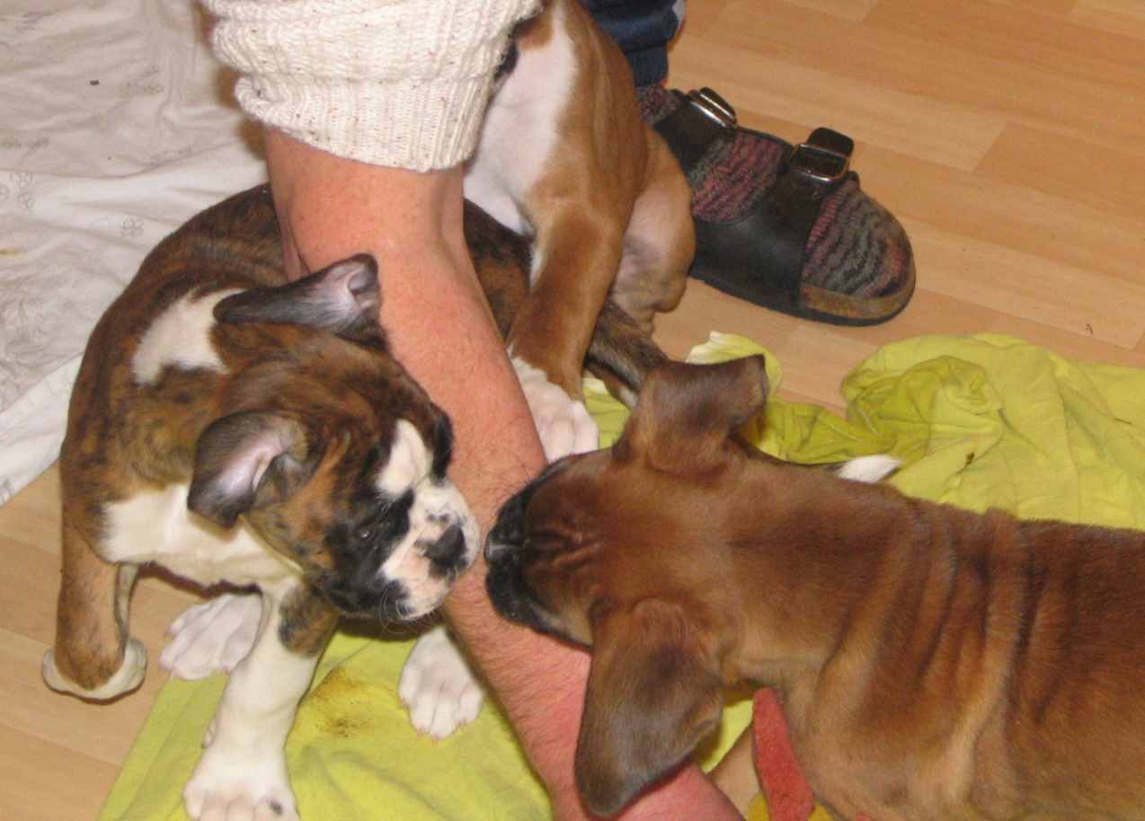 ... Shift+R improves the quality of this image. CTRL+F5 reloads the whole page. undefined