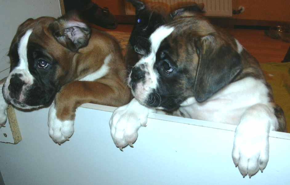 ... Shift+R improves the quality of this image. CTRL+F5 reloads the whole page. undefined