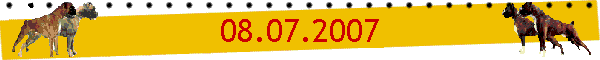 08.07.2007