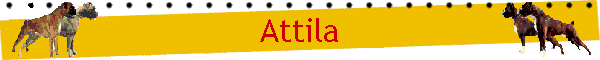 Attila