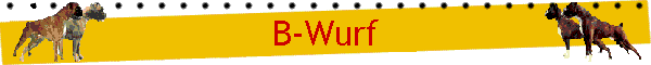 B-Wurf