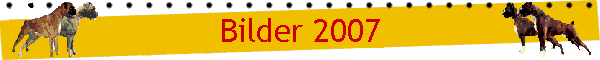 Bilder 2007