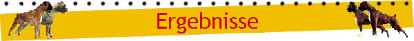 Ergebnisse