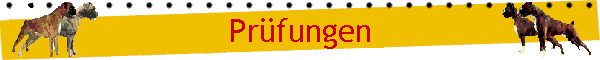 Prfungen